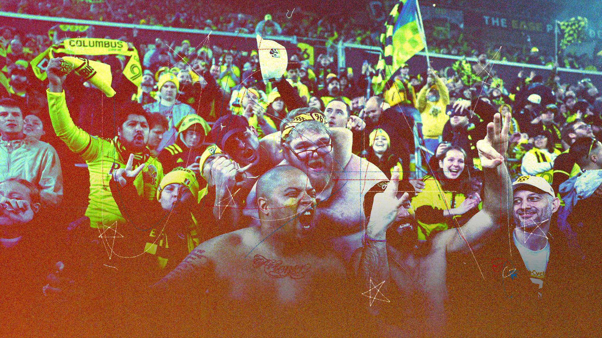 专业性的体 专业性的体