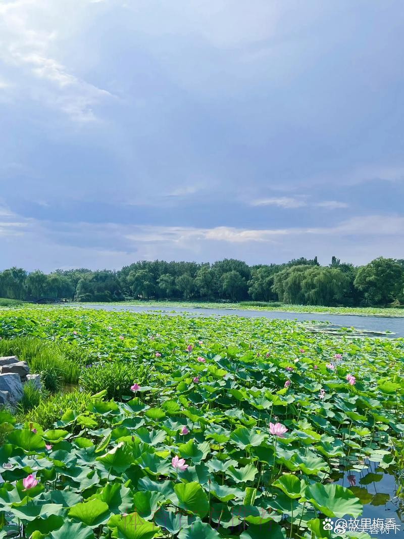皇馬態沉博「細」 皇馬態沉博「細」